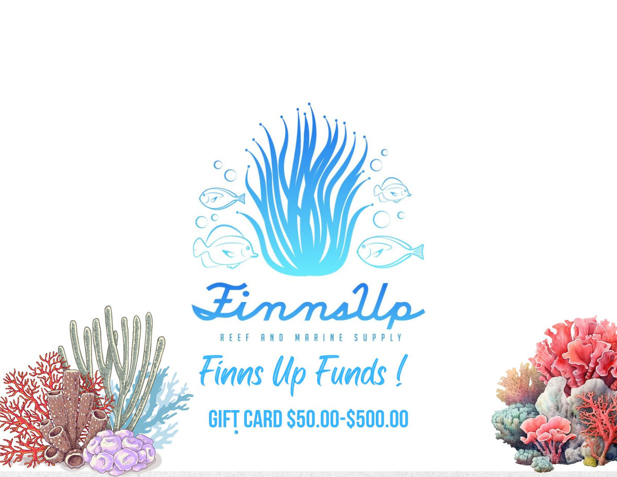 Finns Up Funds